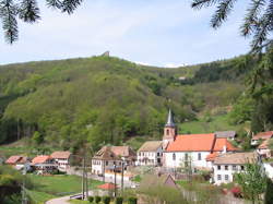 photo Plantes & Croyances en Alsace