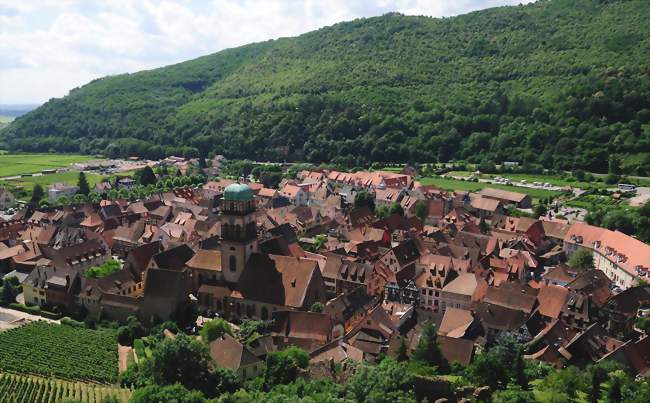 De la vigne au verre - secret du vin d'Alsace