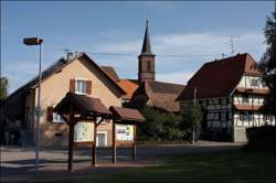 photo Programme de la Maison de la Nature