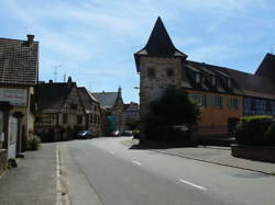 photo Visites commentées du Sentier viticole des Grands Crus : Cave vinicole / Au Château de Beblenheim