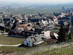 photo Vin Nouveau chez le Vigneron Indépendant - Domaine GUETH