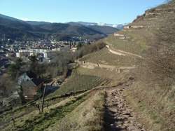 photo Exposition : VINI VITI VICI, les patrimoines vignerons en Alsace