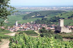 photo Marché de Noël chez le vigneron