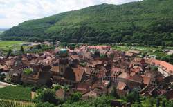 photo Marché de la St Michel