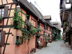 photo Visite de Riquewihr en Petit Train Touristique