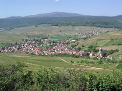 photo Respiration en cohérence cardiaque dans les vignes