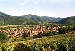 photo Visite de cave et découverte des vins d'Alsace