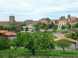 photo Marché aux veaux