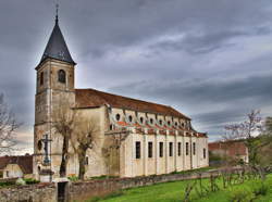 photo Marche gourmande des Monts de Gy