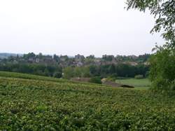 photo Rencontres Vins de Bourgogne