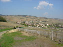 photo Portes Ouvertes au Domaine Luquet depuis 1878