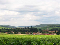 photo Mécanicien / Mécanicienne agricole