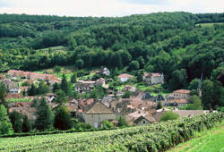 photo Portes ouvertes Domaine de Quintefeuille à Lugny