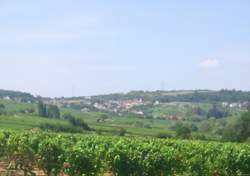 Portes Ouvertes au Domaine Berthenet