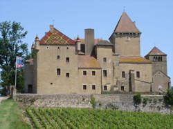 photo Visite libre du château de Pierreclos
