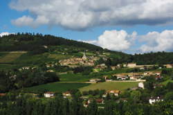 photo Chantier participatif sur les pelouses calcaires aux Carrières de La Lie