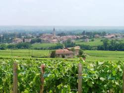 photo Le Château du Moulin-à-Vent entre histoire, terroirs et millésimes rares