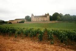 photo Fantastic Mâchon Déjeunatoire - Vive La Bourgogne