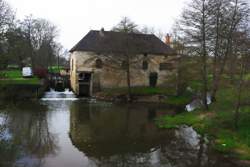 photo Marché de Salornay-sur-Guye