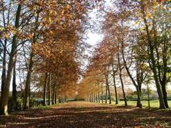 photo Exposition « le Souffle du Monde