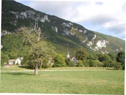 photo Marché des producteurs locaux