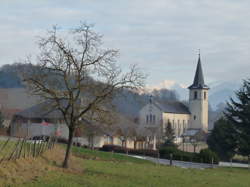 photo Gestionnaire de bases de données et ressources documentaires