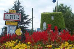 photo Marché d'été des producteurs