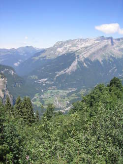 photo A la rencontre du Géant des Alpes