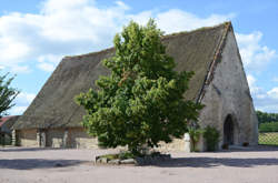 photo Pierres en lumières à Heurteauville