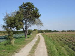 photo Partir en livre à Octeville-sur-Mer