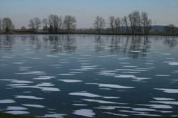 Varennes-sur-Seine