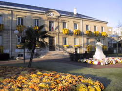 photo Marché Halle couverte