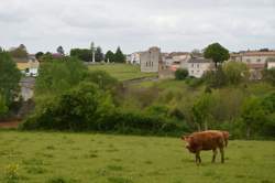 photo Thé dansant à la salle de Montplaisir