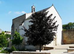 photo Conférence : Michel Ange et la Chapelle Sixtine