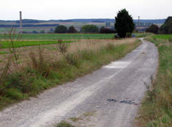 photo Aide-maçon / Aide-maçonne