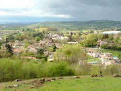 photo Ouvrier / Ouvrière agricole de grandes cultures