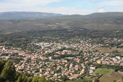 photo Ouvrier / Ouvrière en viticulture