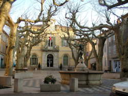 photo Marché provençal de Collobrières