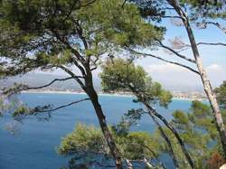 photo Marché Les Pieds dans l'eau