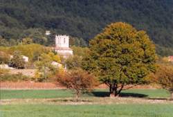 photo Préparateur / Préparatrice de commandes