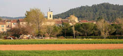 photo Marché  de la Bastide des Jourdans