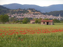 photo Marché  de Cadenet