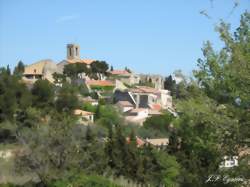 photo Marché de Châteauneuf-de-Gadagne