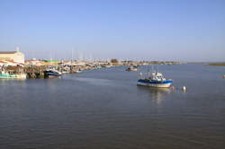 photo Marché hebdo de l'Aiguillon-sur-Mer