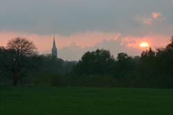 photo SORTIE NATURE - AU RYTHME DES HAIES