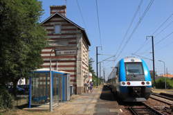 photo Vendeur / Vendeuse en bureau de tabac