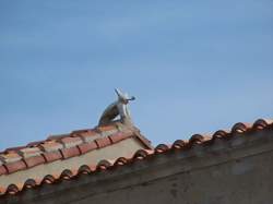 photo YOGA A SAINT BENOIST SUR MER