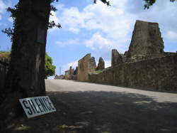 photo Chauffeur / Chauffeuse de poids lourd