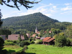 photo PROJECTION DU FILM LE TEMPS DES FORÊTS