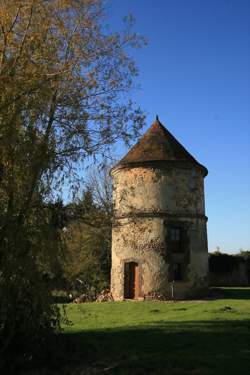 photo Stage d’initiation aux plantes sauvages comestibles